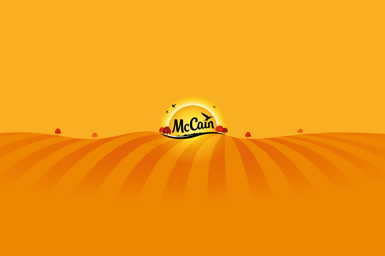 McCain Hellas - Outsourcing Sales & Merchandising to Supermarket Chains