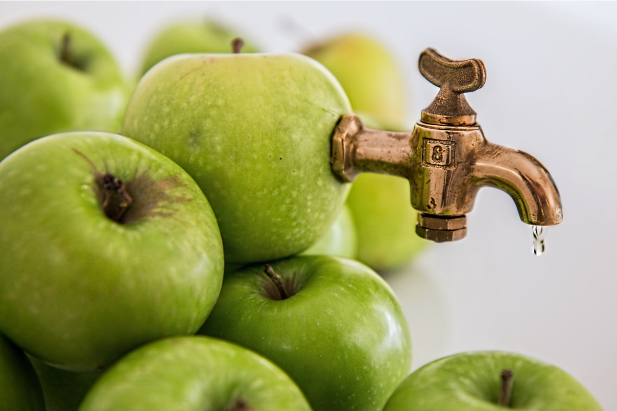 Νέα δυνατότητα Παραγωγής σε νέες ποικιλίες μήλων μπορεί να φέρει η παραγωγή μηλίτη