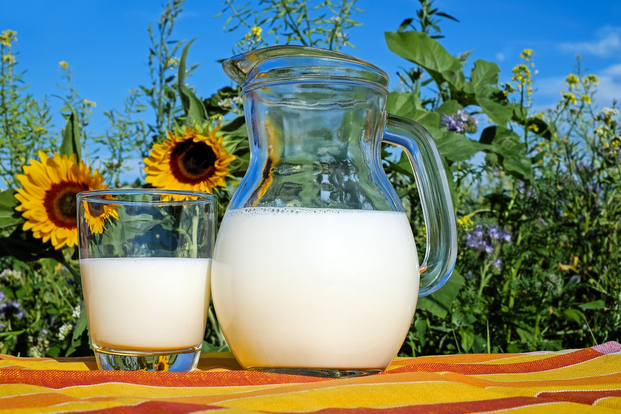 Lactose - free: Πώς η μεγαλύτερη εταιρεία γαλακτοκομικών της Φινλανδίας έκανε το market disruption