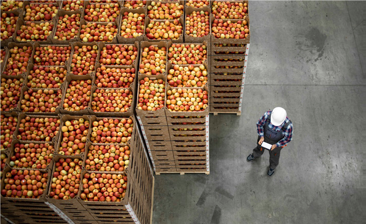 Στο +15,8% οι ελληνικές εξαγωγές τροφίμων για το πρώτο τρίμηνο 2023